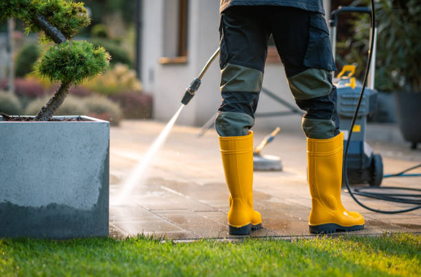 Best Pressure Washing Near Me  in Hamilton City, CA